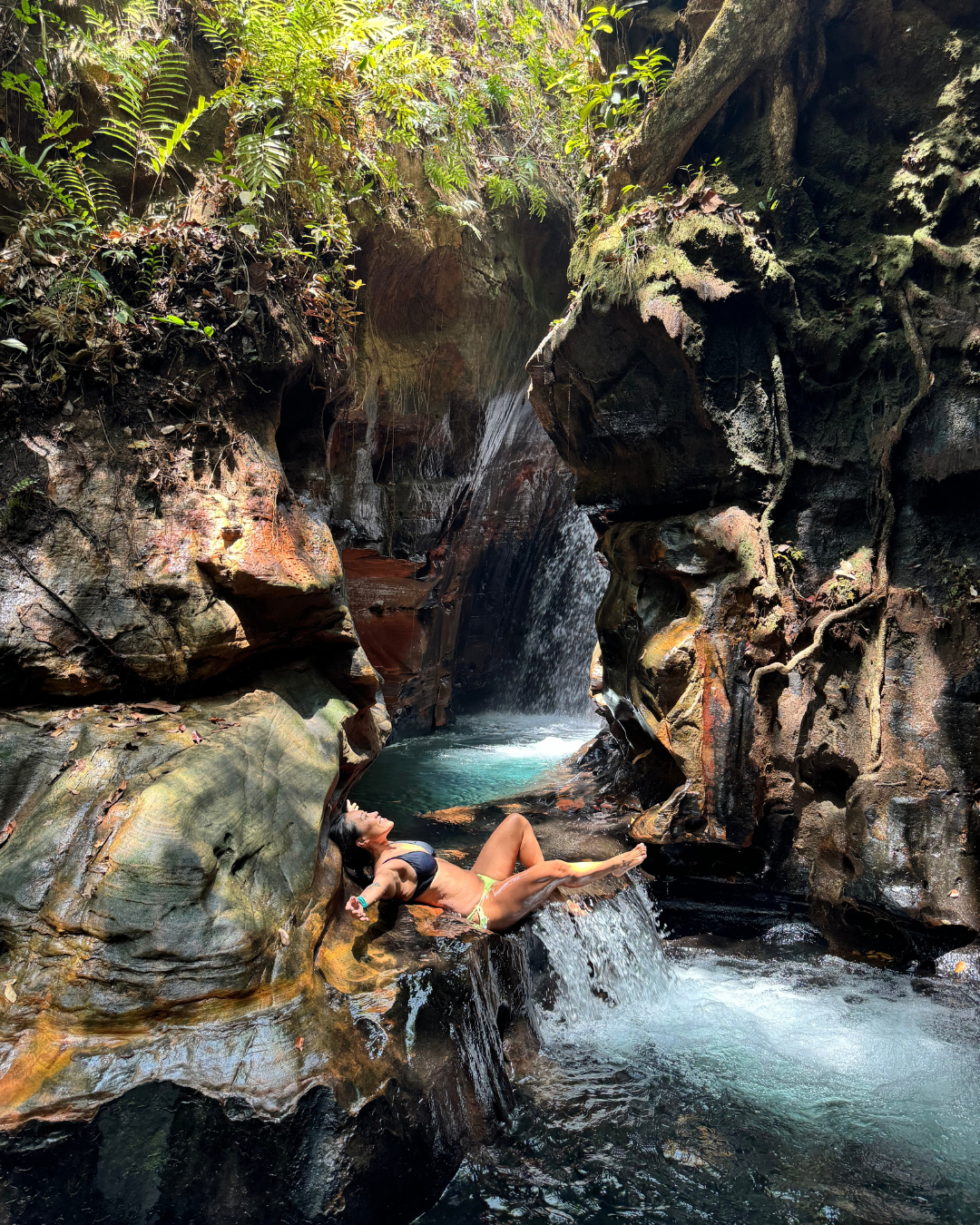 Piscina natural exclusiva